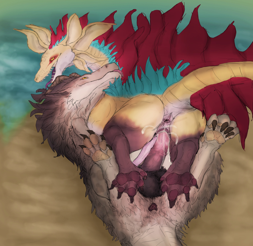 absurd_res anus balls big_balls blep coral_dragon dragon duo felkin feral feral_on_feral frottage frottage_in_slit fur genitals hi_res himirr_(svevato) male male/male pawpads paws scales sex shale_(svevato) svevato tongue tongue_out