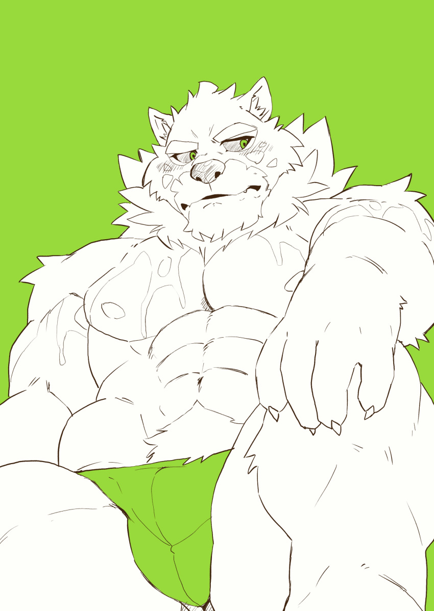 abs absurd_res anthro bulge canid canine canis clothing domestic_dog eyebrows frown heylaw21 hi_res husky lifewonders live_a_hero male mammal monomasa muscular muscular_anthro muscular_male nipples nordic_sled_dog pecs sitting solo speedo spitz swimwear thick_eyebrows