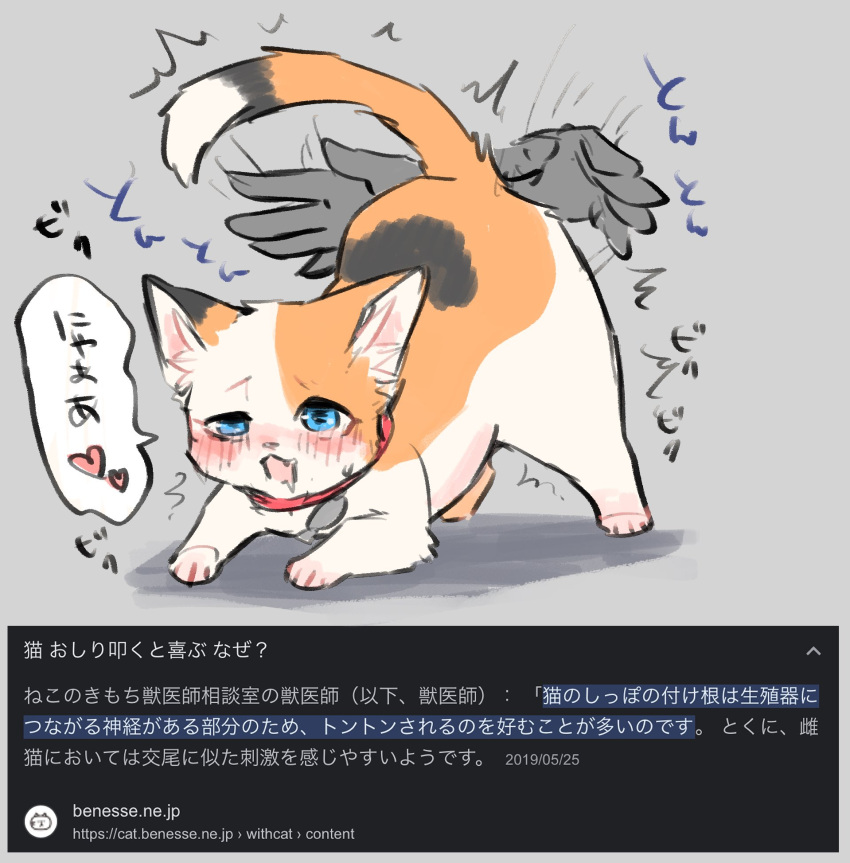 &lt;3 ambiguous_gender ass_up blue_eyes blush bodily_fluids butt_slap calico_cat dipstick_tail disembodied_hand domestic_cat drooling duo felid feline felis feral fur hi_res japanese_text looking_pleasured mammal markings open_mouth orange_body orange_fur saliva slap sweat sweatdrop tail tail_markings text translation_request tsukune_minaga white_body white_fur