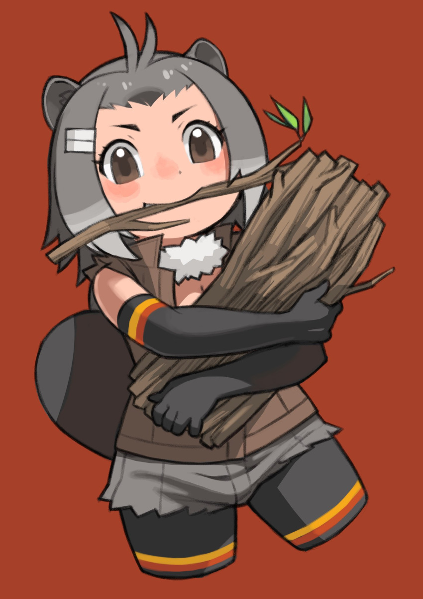 1girl american_beaver_(kemono_friends) animal_ears beaver_ears beaver_tail brown_eyes elbow_gloves extra_ears gloves grey_hair highres jacket kemono_friends looking_at_viewer pantyhose red_background rinx scarf short_hair shorts simple_background sleeveless solo tail