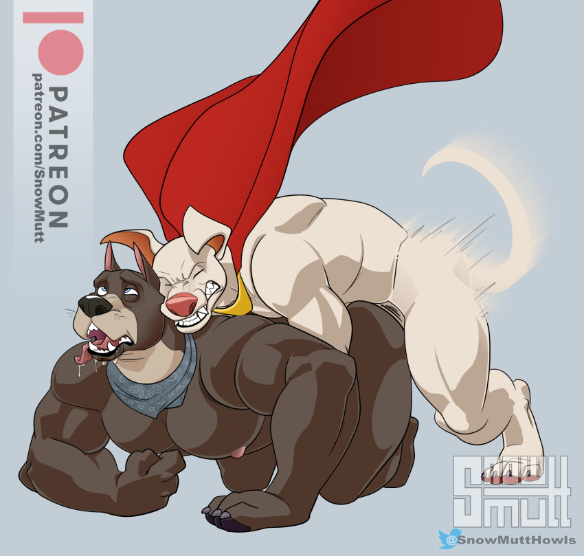 ace_the_bat-hound anthro canid canine canis dc_comics dc_league_of_super-pets domestic_dog duo genitals hi_res krypto krypto_the_superdog male male/male mammal muscular muscular_male penis sex snowmutt