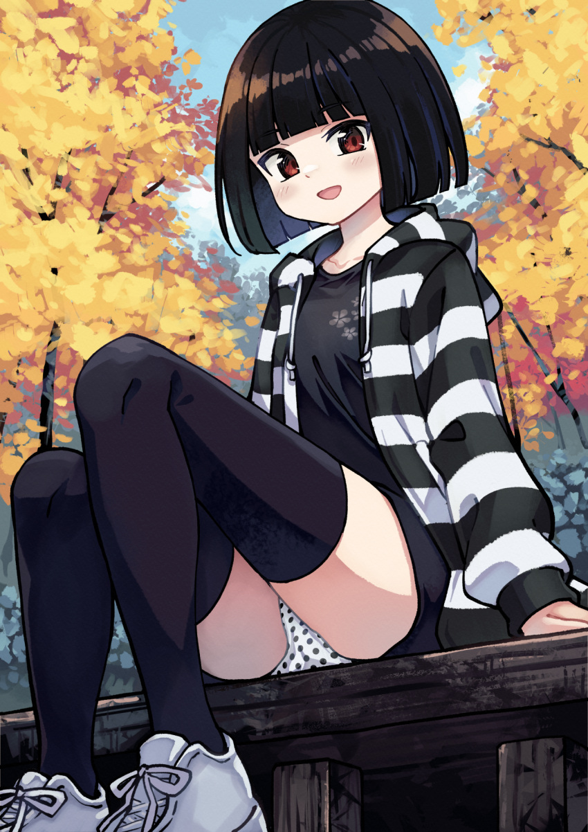 1girl :d akemiho_tabi_nikki autumn autumn_leaves black_hair black_shirt black_skirt black_thighhighs blue_sky bob_cut cloud commentary_request day drawstring floral_print fukube_tamaki gendai_ninjakko_zukan highres hood hood_down hooded_jacket jacket kouno_hikaru long_sleeves looking_at_viewer outdoors panties polka_dot polka_dot_panties puffy_long_sleeves puffy_sleeves red_eyes shirt shoes short_hair sitting skirt sky sleeves_past_wrists smile solo striped striped_jacket thighhighs tree underwear white_footwear white_panties