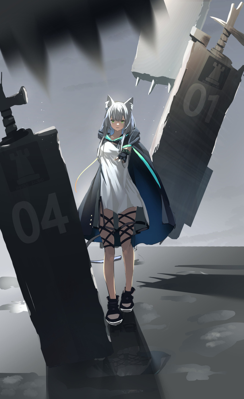 1girl absurdres animal_ear_fluff animal_ears arknights black_cloak black_footwear black_gloves blurry blurry_foreground cat_ears cloak commentary_request depth_of_field dress fingerless_gloves gloves green_eyes grey_hair highres looking_at_viewer lycoris-fullbloom outstretched_arm reflection rosmontis_(arknights) shoes solo standing water white_dress