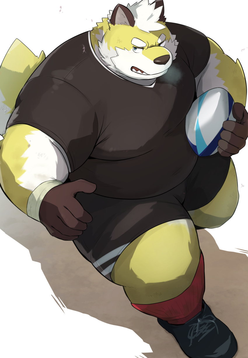 2023 absurd_res anthro belly big_belly bottomwear canid canine canis clothing domestic_dog hi_res kemono male mammal noctnoc overweight overweight_male rugby rugby_ball rugby_uniform shirt shorts simple_background solo topwear