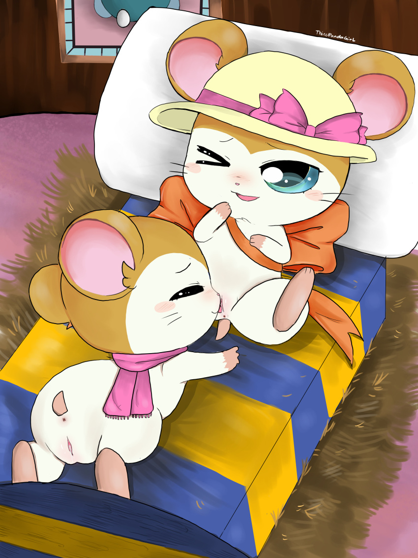 2020 absurd_res anus bed blue_eyes blush clothing cricetid cunnilingus duo female female/female feral fur furniture genitals hamster hamtaro_(series) hat headgear headwear hi_res lying mammal on_bed on_front one_eye_closed oral orange_ribbon oshare_(hamtaro) pashmina_(hamtaro) pillow pink_scarf pussy ribbons rodent scarf sex signature sun_hat tan_body tan_fur thiccpandagirl tongue tongue_out vaginal white_body white_fur