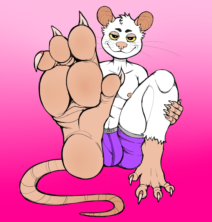 anthro bulge clothing feet fur hi_res homodogo homodogo_(unnamed-mouse) male mammal mouse murid murine purple_clothing purple_underwear rodent soles solo tail underwear white_body white_fur yellow_eyes