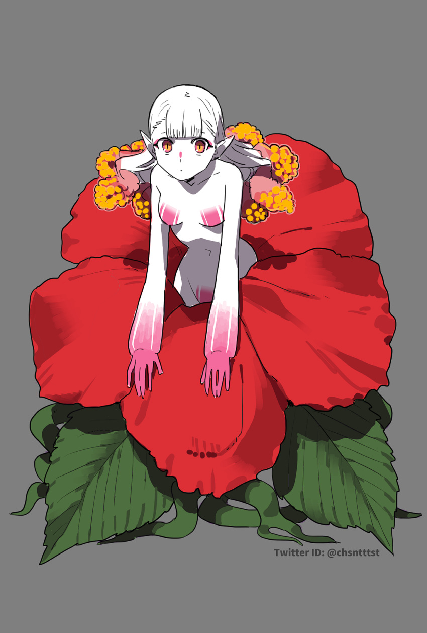 1girl alraune artist_name blunt_bangs breasts closed_mouth colored_skin completely_nude flower full_body grey_background highres kizuta_(barometz) long_hair looking_at_viewer monster_girl multicolored_eyes multicolored_skin nude original pink_eyes pink_hair pink_skin plant_girl plant_hair pointy_ears red_flower simple_background slit_pupils small_breasts solo twitter_username white_hair white_skin yellow_eyes