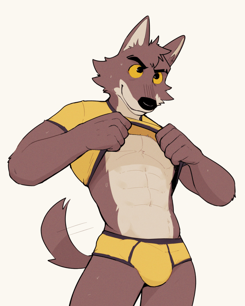 2023 abs anthro brown_body brown_fur bulge canid canine canis clothing detailed_bulge dreamworks fur hi_res jrjresq male mammal mr._wolf_(the_bad_guys) shirt_up simple_background solo tail the_bad_guys underwear wolf