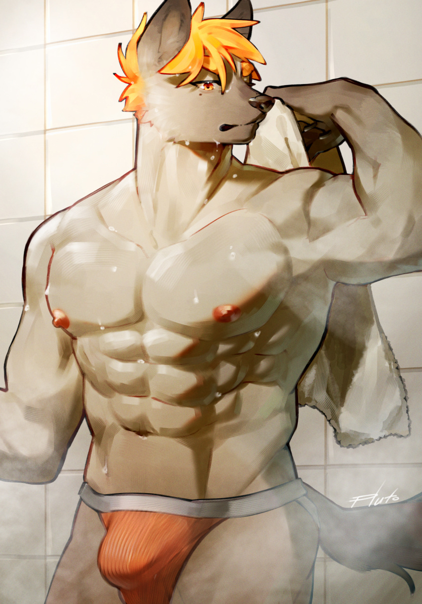 2023 abs absurd_res anthro areola brown_body brown_fur bulge clothing detailed_bulge fur hair hi_res hyena jockstrap looking_at_viewer male mammal muscular muscular_anthro muscular_male pluto08010511 pu94_d1de4c solo tail towel underwear wet wet_body wet_fur