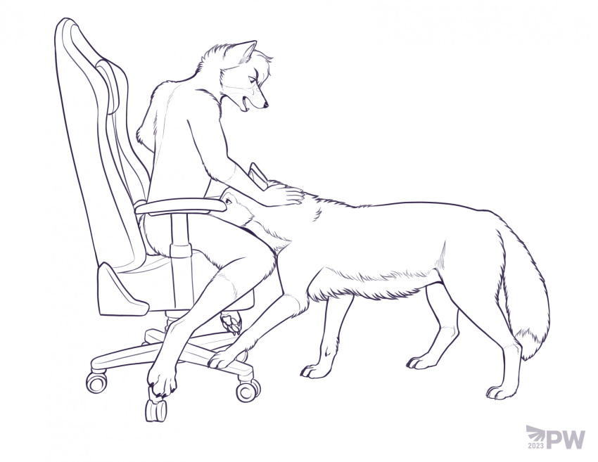 2023 anthro anthro_on_feral arctic_fox bestiality biped black_nose canid canine canis chair claws dated duo eyebrows fellatio female feral fox fur furniture gaming_chair hair hi_res implied_oral independence looking_down male male/female male_on_feral mammal nude on_chair open_mouth oral paper-wings paws penile quadruped sex simple_background sitting sitting_on_chair toe_claws white_background wolf