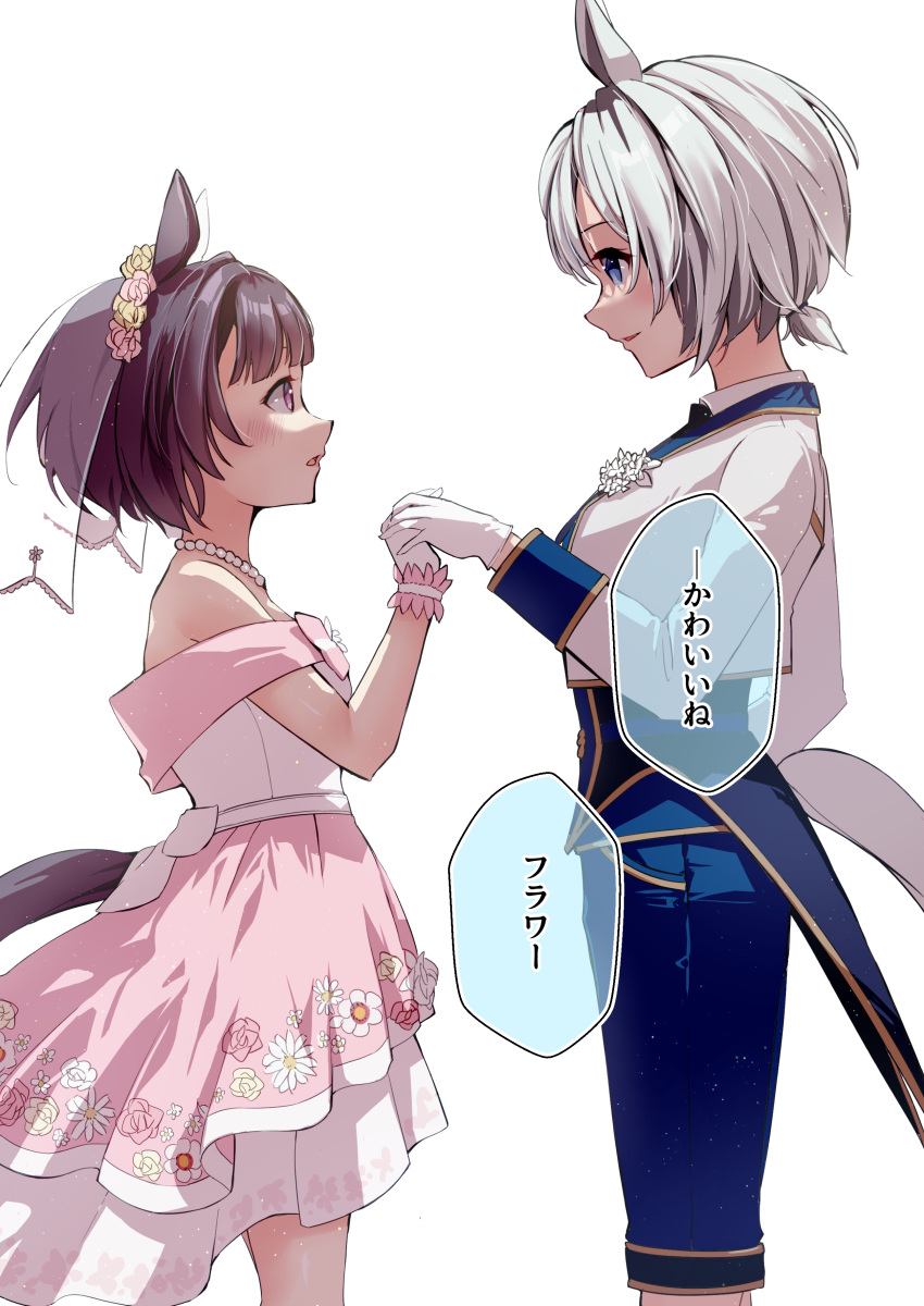 2girls absurdres animal_ears blue_eyes blue_pants blunt_bangs bob_cut bridal_veil ear_covers feet_out_of_frame from_side gloves grey_hair highres holding_hands horse_ears horse_girl horse_tail jacket long_sleeves looking_at_another multiple_girls nishino_flower_(sweet_juneberry)_(umamusume) nishino_flower_(umamusume) official_alternate_costume pants purple_eyes purple_hair sakura_yoru seiun_sky_(soiree_de_chaton)_(umamusume) seiun_sky_(umamusume) shirt short_hair simple_background single_ear_cover tail umamusume veil white_background white_gloves white_jacket white_shirt wife_and_wife