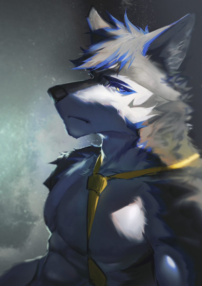 absurd_res anthro archermagnum black_hair blue_hair blue_highlights canid canine canis hair hi_res highlights_(coloring) male mammal necktie simple_background solo thunderrangers unknown_artist white_body wolf