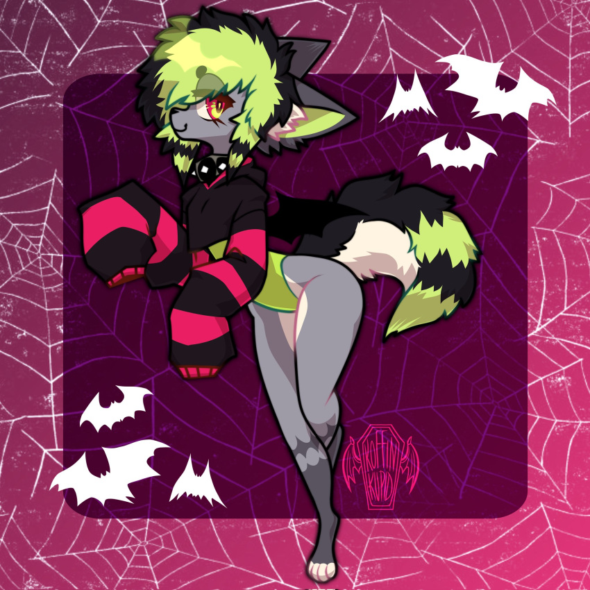 1:1 ambiguous_gender anthro back_wings bat black_body black_fur canid canine canis clothing collar crop_top crop_top_sweater domestic_dog fur green_highlights grey_body grey_fur half-closed_eyes hi_res highlights_(coloring) hybrid lamekun leotard mammal membrane_(anatomy) membranous_wings narrowed_eyes pattern_background shirt simple_background smile solo studded_collar topwear white_body white_fur wings