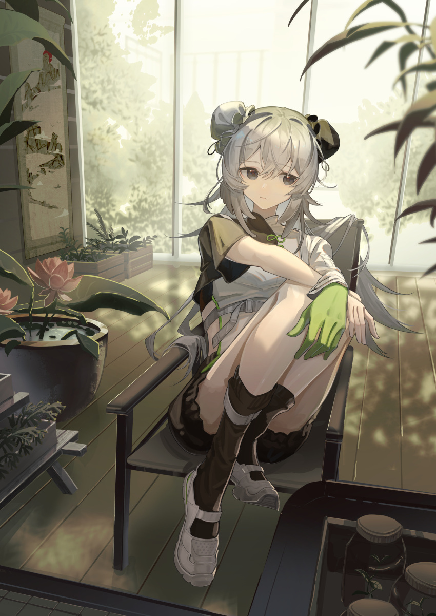 1girl absurdres arknights asymmetrical_sleeves black_bloomers black_eyes black_socks bun_cover chair chinese_clothes closed_mouth commentary_request crate dappled_sunlight double_bun feather_hair flower gloves green_gloves greenhouse grey_hair hair_bun hanging_scroll highres indoors jar legs_up long_hair lotus mulberry_(arknights) mulberry_(plant_crude_drug)_(arknights) natsuba002 official_alternate_costume on_chair plant potted_plant scroll shoes single_glove sitting socks solo sunlight white_footwear window wooden_floor