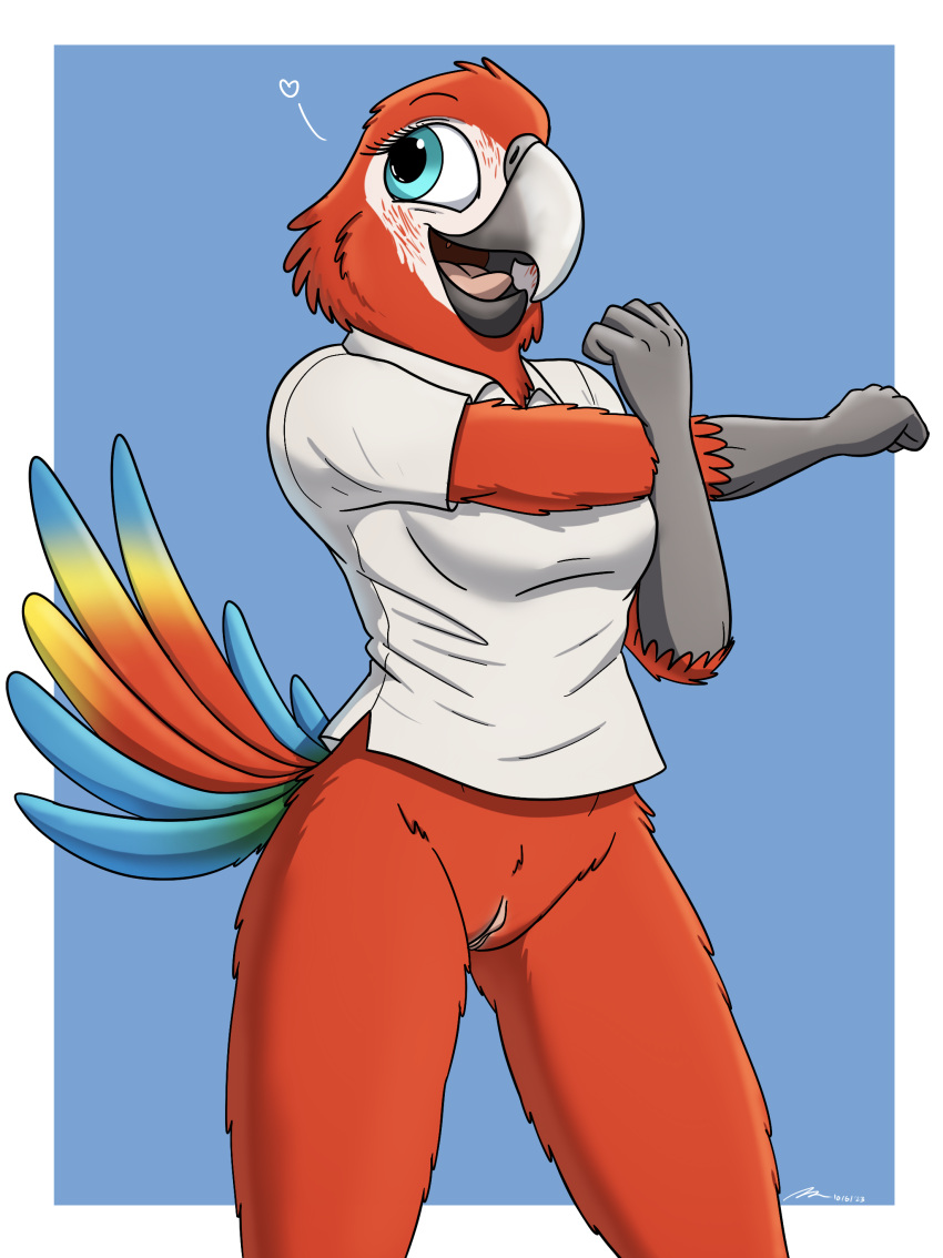 &lt;3 absurd_res anthro avian bird bottomless clothed clothing cute_expression female fish_birb genitals hi_res macaw neotropical_parrot parrot polo_shirt pussy samantha_(fish_birb) shirt solo stretching topwear true_parrot