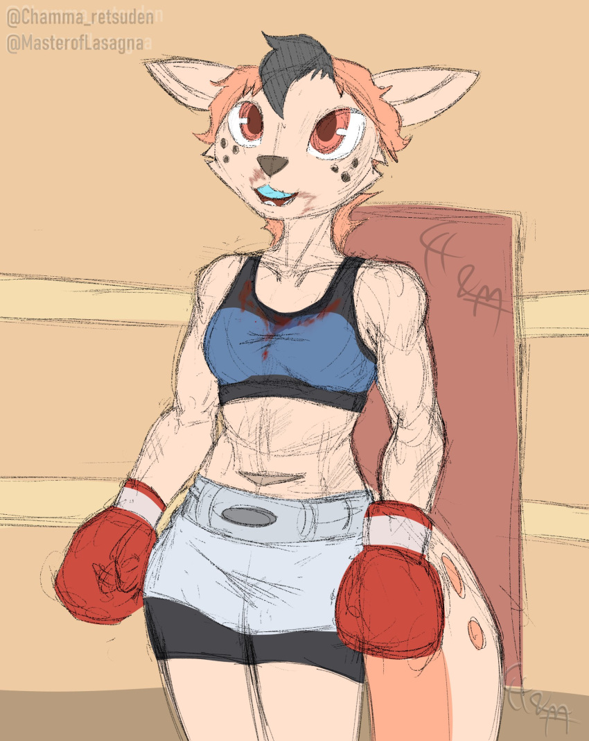 animal_humanoid anthro blood bodily_fluids boxing boxing_attire boxing_gloves boxing_shorts chamma_retsuden clothing fan_character female fighting_ring handwear hi_res humanoid mammal mammal_humanoid masteroflasagna mustelid mustelid_humanoid otter otter_humanoid solo sport