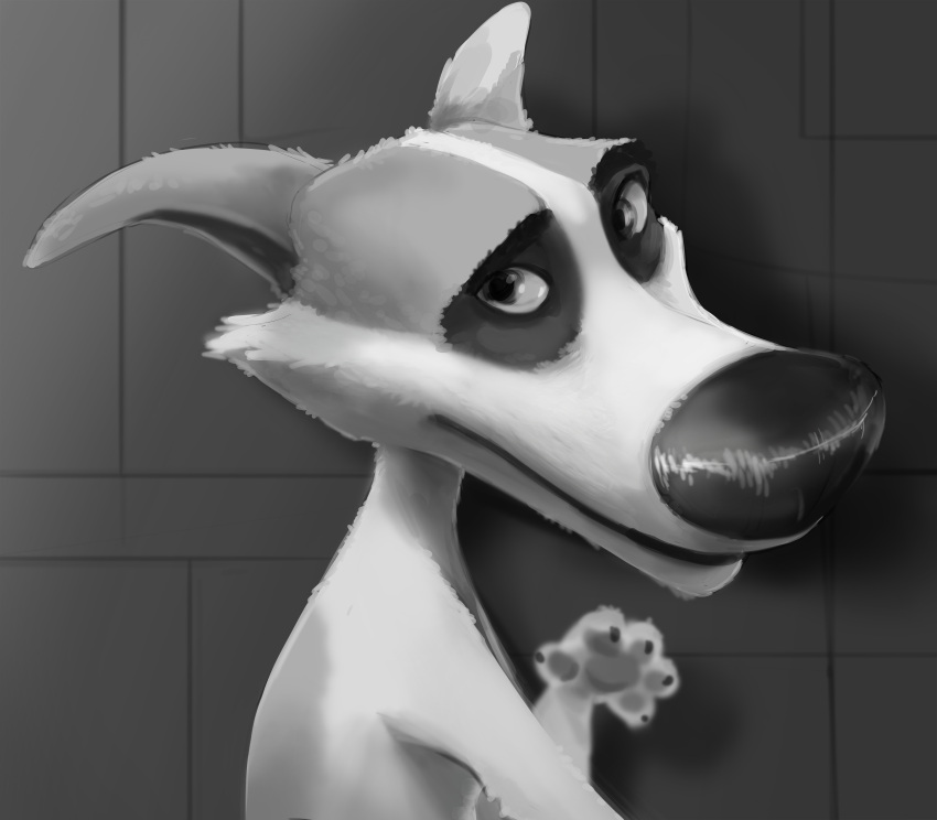 2022 absurd_res anthro black_and_white black_nose canid canine canis domestic_dog female feral hi_res looking_at_viewer mammal monochrome paws raised_paw simple_background sketch smile solo space_dogs strelka subscribestar wugi