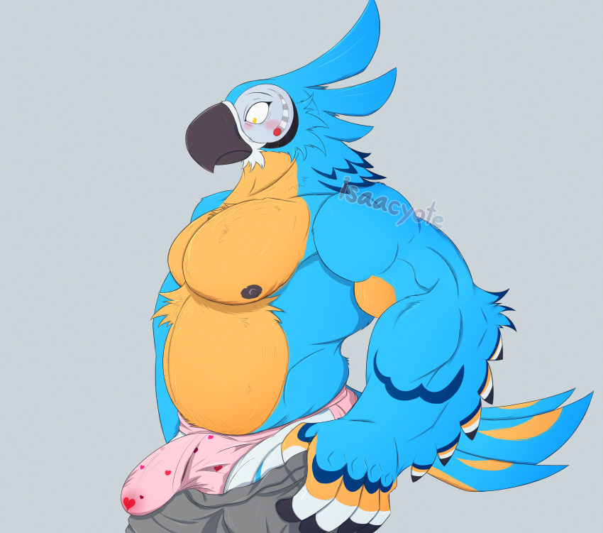 absurd_res anthro avian beak belly big_bulge bird blue_body blue_feathers blush bodily_fluids bodily_fluids_on_underwear breath_of_the_wild bulge chest_tuft clothing detailed_bulge feathered_tail feathers genital_outline hi_res huge_bulge isaacyote_(artist) jockstrap kass_(tloz) male meme muscle_tone musclegut muscular muscular_anthro muscular_male nintendo nipples pecs penis_outline pulling_up_pants rito shocked_expression solo standing tail the_legend_of_zelda tuft underwear wet wet_clothing wet_underwear white_body white_feathers wings yellow_body yellow_feathers