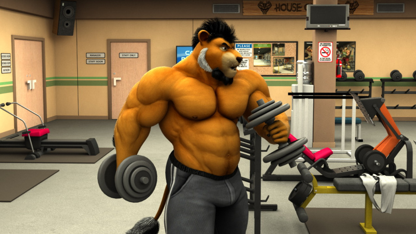 3d_(artwork) abs anthro beard bench biceps black_hair bottomwear braford bulletin_board claws clothed clothing deltoids digital_media_(artwork) door dumbbell exercise facial_hair felid finger_claws flexor_carpi fur goatee grey_bottomwear grey_clothing grey_pants gym hair kurt_(braford) lion machine male mammal navel nipples obliques pantherine pants pecs poster pubes sideburns sign solo speaker tail tail_tuft television topless towel triceps tuft weightlifting weights white_hair workout yellow_body yellow_fur