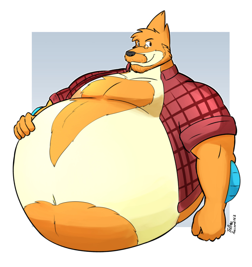 2022 anthro arm_fins beard belly big_belly black_nose body_hair buizel charlie_(chibibuizel) chest_hair chest_tuft collared_shirt eyewear facial_hair fin fur generation_4_pokemon glasses hair half-length_portrait hand_on_stomach hands_on_belly hi_res huge_belly male multicolored_body multicolored_fur musclegut muscular muscular_anthro muscular_male navel nintendo orange_beard orange_body orange_facial_hair orange_fur orange_hair orange_mustache overweight overweight_anthro overweight_male plaid pokemon pokemon_(species) portrait rolled_up_sleeves signature solo th0mas tuft two_tone_body two_tone_fur waist_up