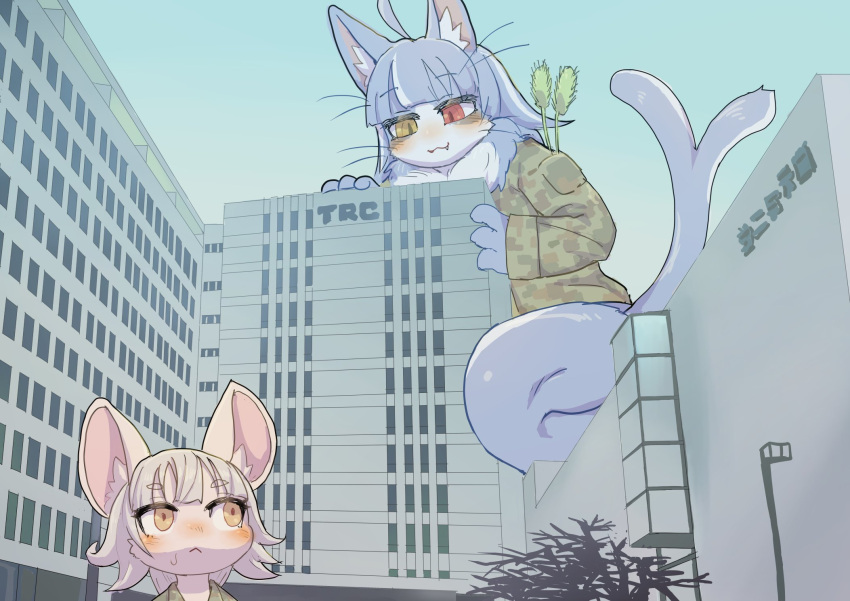 ahoge ai_ke_a(artist) anthro blue_body blue_fur camo camo_clothing camo_print clothing domestic_cat duo felid feline felis forked_tail fur hair hamu_chunchun heterochromia hi_res inner_ear_fluff jacket_only japan_air_self-defense_force kemono looking_at_another looking_down looking_up macro male mammal multicolored_body multicolored_fur murid murine neck_tuft omaneko_(jasdf) pattern_clothing rat red_eyes rodent size_difference sky tail tuft unusual_anatomy unusual_tail yellow_eyes