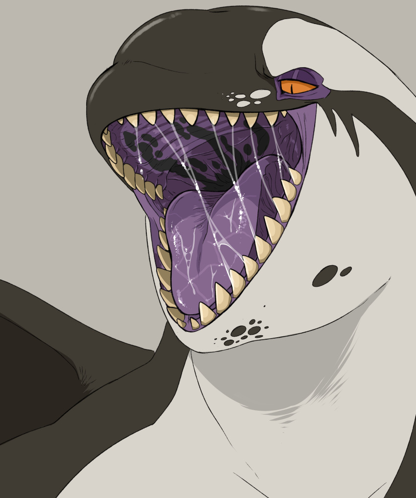 absurd_res ambiguous_gender bodily_fluids cetacean dolphin grey_background grey_body hi_res imperatorcaesar mammal marine mouth_shot narrowed_eyes oceanic_dolphin open_mouth orca pupils saliva saliva_on_tongue saliva_string simple_background slit_pupils solo tan_teeth toothed_whale white_body