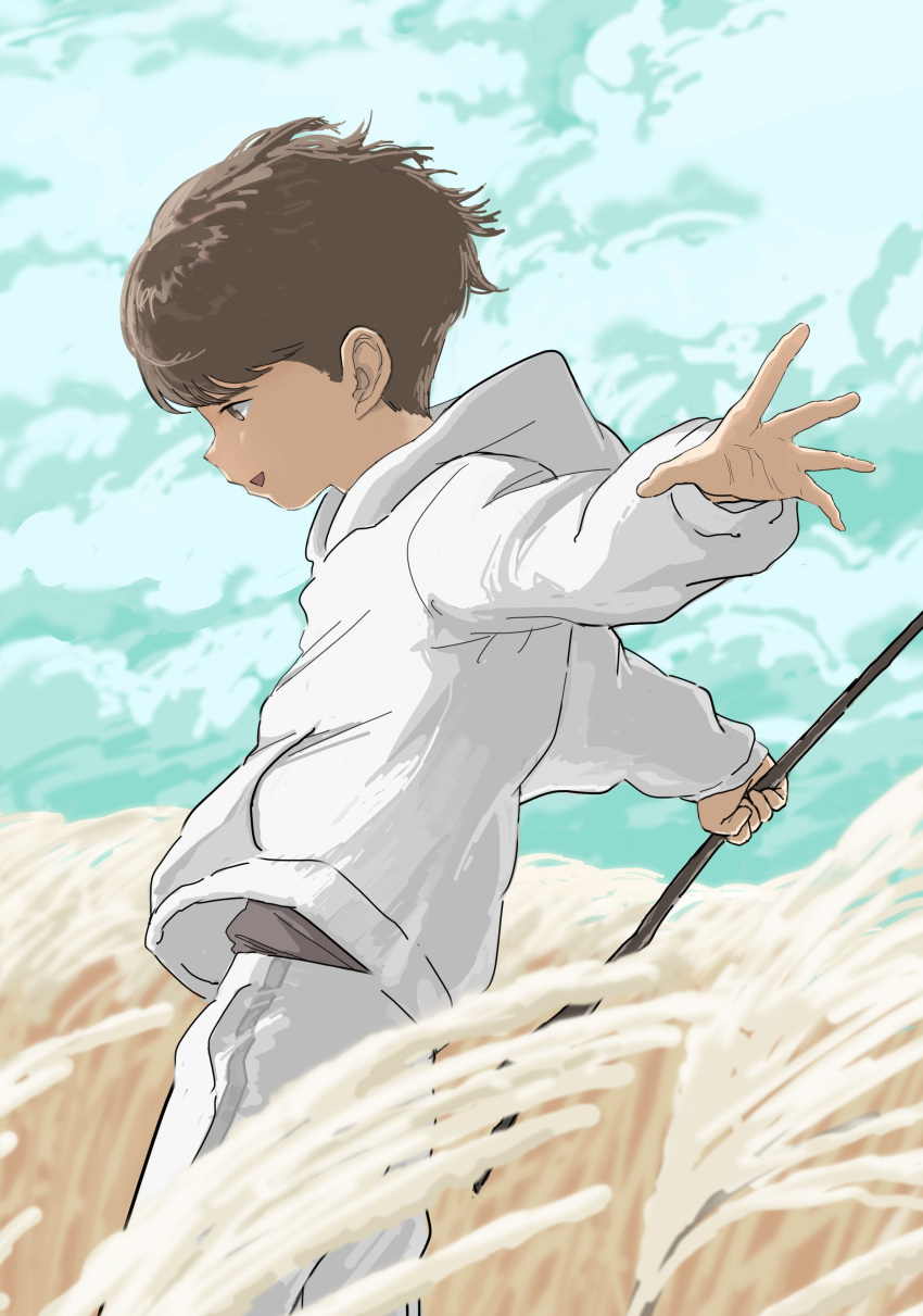 1boy absurdres blue_sky blurry blurry_background blurry_foreground brown_hair child cloud cloudy_sky highres hikae25671345 holding hood hoodie long_sleeves male_child male_focus open_mouth original outdoors outstretched_arms scenery sky solo wheat_field white_hoodie wind