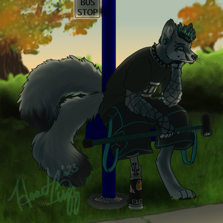 anthro benji_hextail_(heart-buzz) bus_stop_sign cane canid canine cheek_piercing clothing collar disability ear_piercing evening eyebrow_piercing facial_hair facial_piercing fishnet fishnet_gloves fishnet_handwear fox gauged_ear gloves goatee grass hair handwear heart-buzz hi_res kit_fox male mammal nose_piercing nose_ring piercing plant prick_ears prosthetic prosthetic_leg prosthetic_limb ring_piercing septum_piercing septum_ring shrub sitting sky solo spiked_collar spikes spiky_hair straps tree tripp_pants waiting whiskers