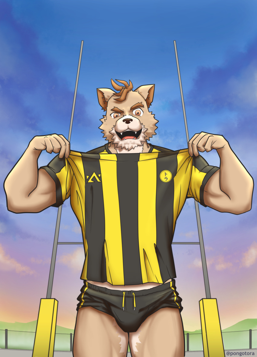 absurd_res anthro barazoku bottomwear bulge canid canine canis clothing domestic_dog hi_res humanoid_hands jersey kemono male mammal muscular pongotora rugby shiba_inu shirt shorts sky solo spitz topwear uniform