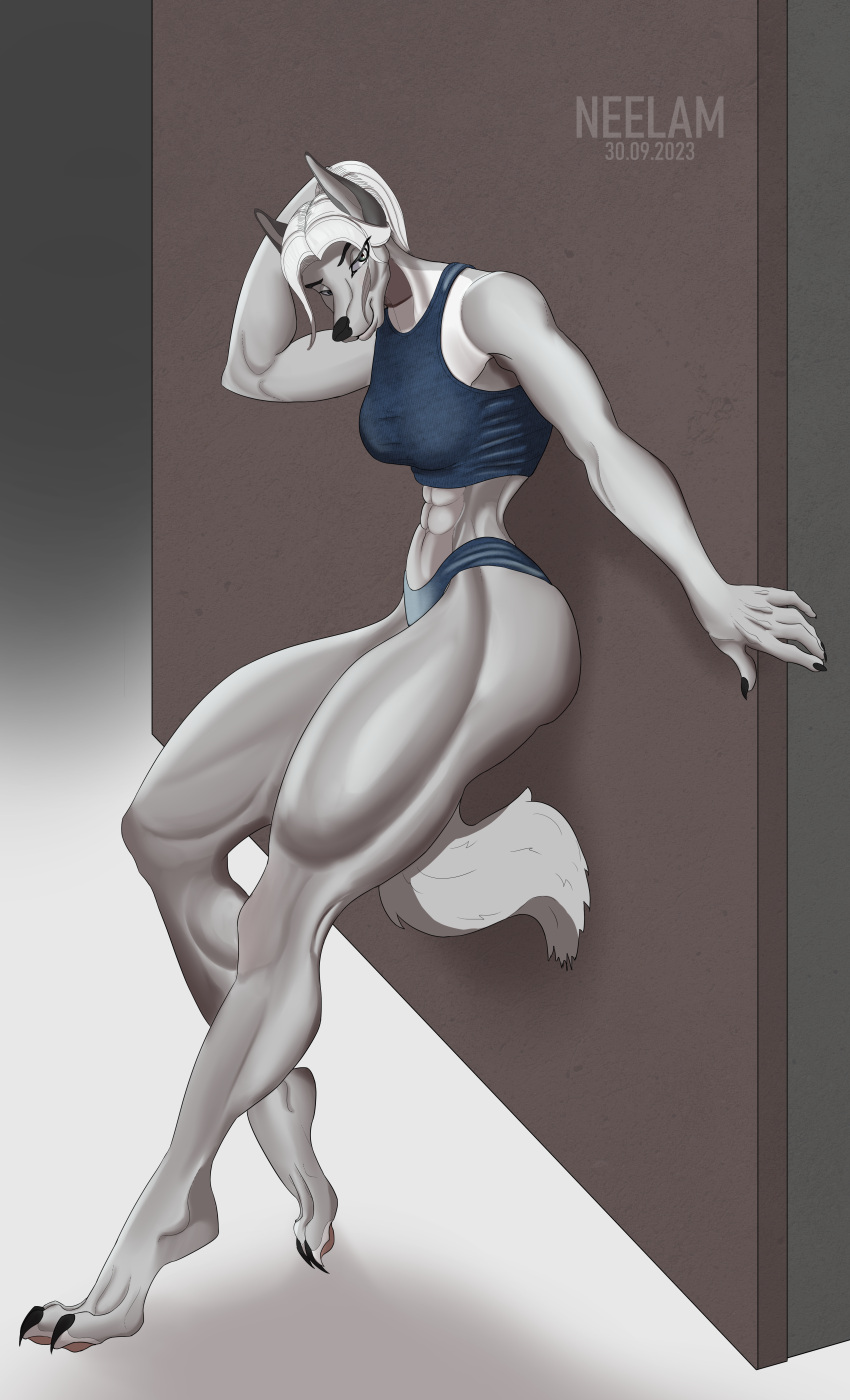 abs absurd_res anthro big_butt black_nails blue_clothing blue_eyes breasts butt canid canine canis clothing colored_nails female fur grey_body grey_fur hair hi_res huge_butt leaning leaning_forward leaning_on_wall looking_at_viewer mammal muscular muscular_anthro muscular_female muscular_legs muscular_thighs nails neelam_(artist) no_bra_under_clothes smile solo sportswear tail tall tall_female wall_(structure) white_body white_fur white_hair wolf