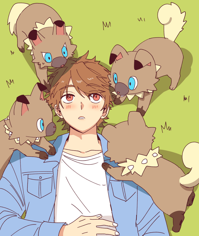 1boy absurdres blue_shirt blush brown_hair collarbone collared_shirt commentary_request crossover dress_shirt highres jugjoh korean_commentary long_sleeves luke_pearce_(tears_of_themis) lying male_focus on_back on_grass open_clothes open_shirt parted_lips pokemon pokemon_(creature) red_eyes rockruff shirt tears_of_themis thick_eyebrows white_shirt