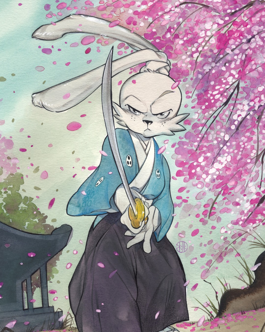 4:5 anthro asian_clothing bound_ears building cherry_blossom cherry_blossom_tree cherry_tree clothed clothing comic_book_character comic_book_cover cover_art ears_tied east_asian_clothing fruit_tree hi_res holding_object holding_sword holding_weapon house japanese_clothing japanese_house japanese_sword katana lagomorph leporid looking_at_viewer male mammal melee_weapon miyamoto_usagi official_art peach_momoko plant rabbit solo sword tree usagi_yojimbo weapon wind