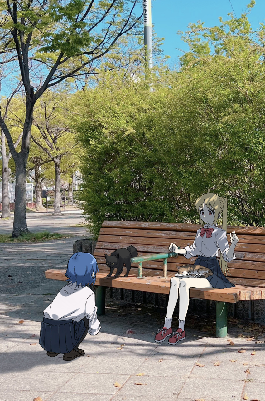 2girls absurdres animal_on_lap bench black_skirt blonde_hair blue_hair bocchi_the_rock! bow bowtie cat cat_on_lap chorohanage commentary_request dappled_sunlight day dress_shirt english_commentary facing_away frown hands_up highres ijichi_nijika mixed-language_commentary multiple_girls on_lap orange_eyes outdoors park park_bench photo_background pleated_skirt raised_eyebrows red_bow red_bowtie red_footwear school_uniform shirt shirt_tucked_in shoes short_hair side_ponytail sitting sitting_on_bench skirt sleeves_rolled_up sneakers socks squatting sunlight surprised tree white_shirt white_socks wide-eyed wide_shot yamada_ryo