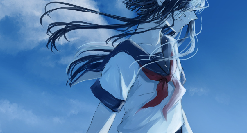 1girl absurdres bandaid bandaid_on_cheek bandaid_on_face black_hair blue_sailor_collar blue_theme closed_mouth cloud collarbone commentary_request crying from_side head_out_of_frame highres long_hair neckerchief original red_neckerchief saikisaika sailor_collar school_uniform serafuku shirt short_sleeves sidelocks sky solo streaming_tears tears white_shirt