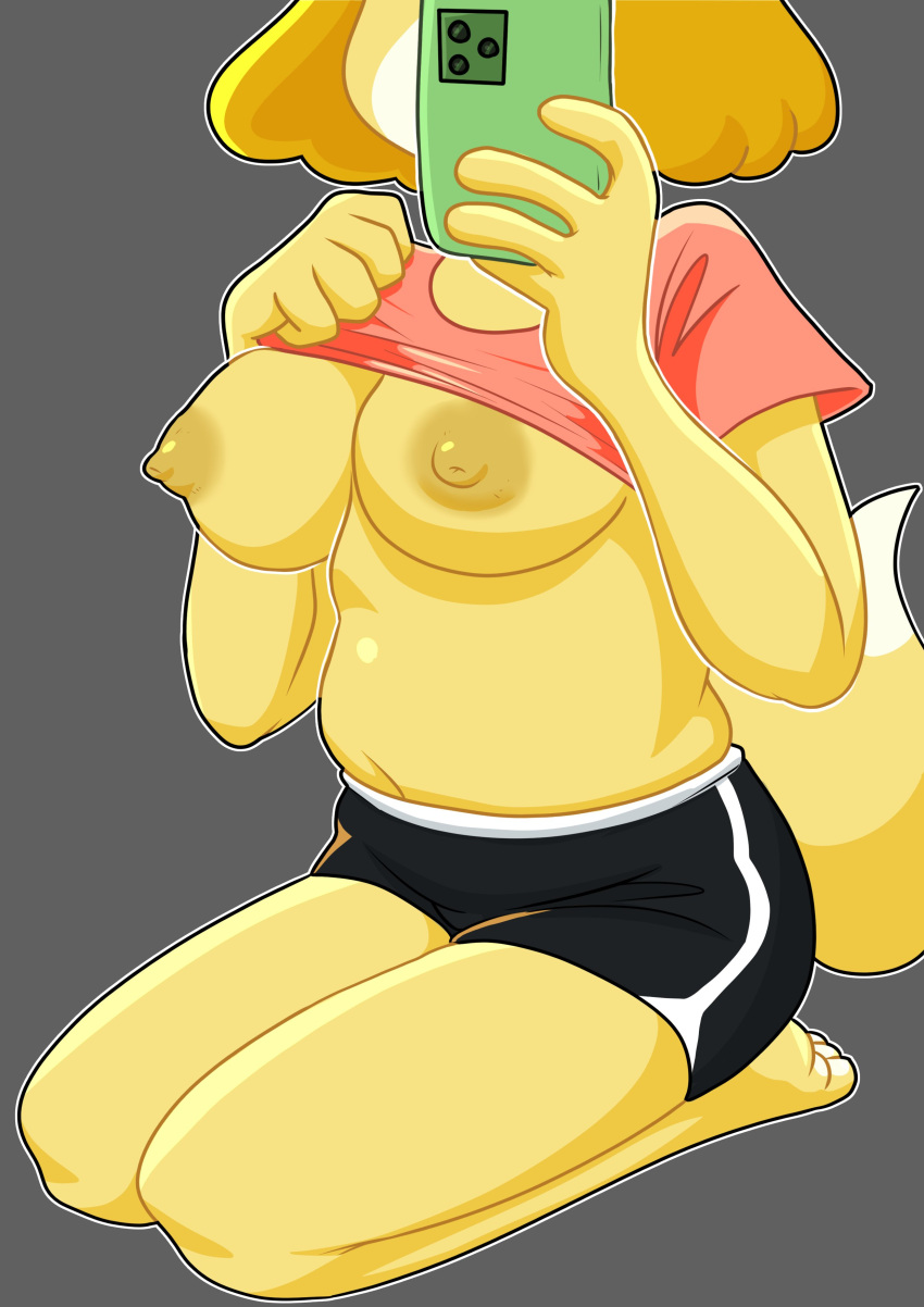 absurd_res animal_crossing anthro areola belly bottomwear breasts canid canine canis cellphone clothed clothing digital_media_(artwork) dipstick_tail domestic_dog exposed_breasts faceless_anthro faceless_character faceless_female female gym_bottomwear gym_clothing gym_shorts hi_res holding_cellphone holding_object holding_phone isabelle_(animal_crossing) kneeling mammal markings navel nintendo nipples phone raised_clothing raised_shirt raised_topwear selfie shih_tzu shirt shorts slightly_chubby smartphone solo strawberrywith4 t-shirt tail tail_markings topwear toy_dog yellow_areola yellow_body yellow_nipples