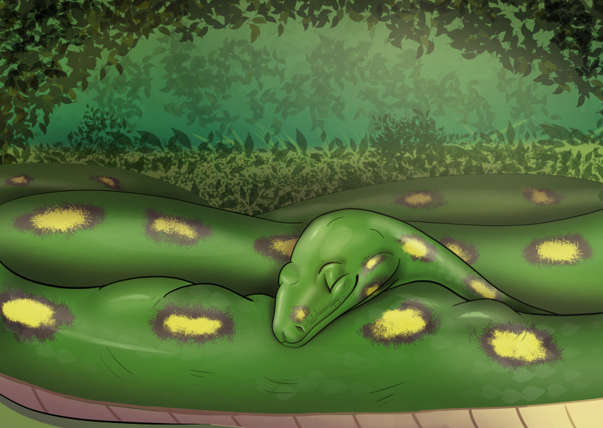 belly coiling forest hi_res oral_vore plant reptile scalie sleeping smile snake tree vore