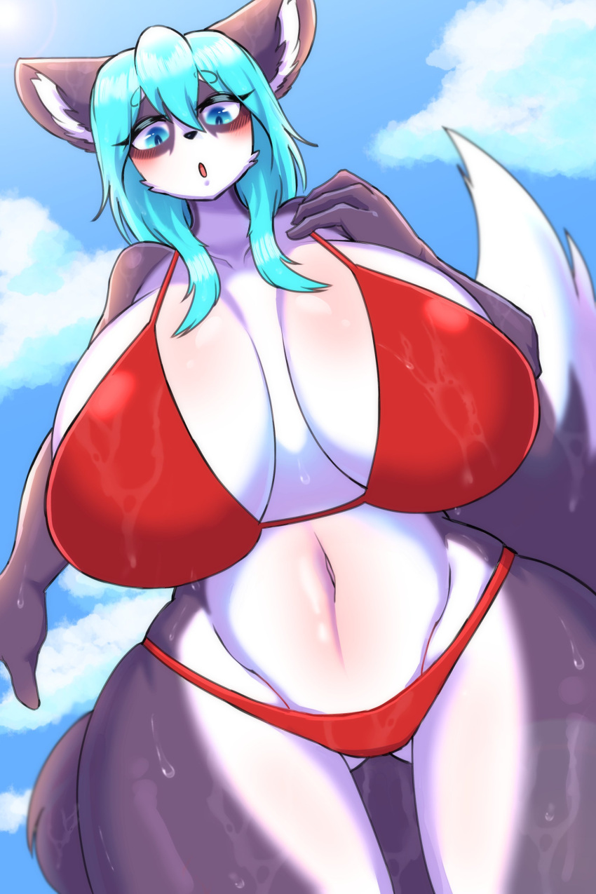 absurd_res anthro big_breasts bikini bikini_bottom black_pupils blue_eyes blue_hair blush breasts canid canine canis clothing dipstick_tail domestic_dog female hair haiyan hanul hi_res huge_breasts looking_at_viewer mammal markings multicolored_body navel open_mouth pupils solo swimwear tail tail_markings thick_thighs two_tone_body