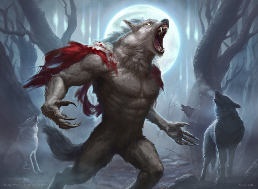 anthro biped canid canine canis claws clothing detailed_background feral fur group hasbro magic:_the_gathering male mammal mila_pesic moon official_art open_mouth outside paws plant quadruped signature sitting solo_focus standing tail teeth text torn_clothing tree were werecanid werecanine werewolf wizards_of_the_coast wolf