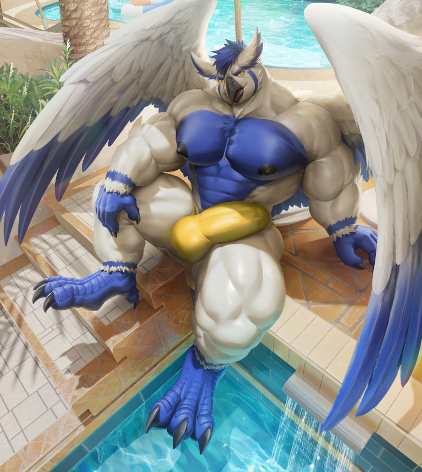 2021 abs anthro avian balls biceps bird blue_body blue_feathers blue_hair blue_talons bulge claws clothing day erection feathers finger_claws genitals hair hi_res humanoid_genitalia humanoid_penis male muscular_thighs nipples obliques outside owl palm_tree pecs penis plant pool quads solo sova speedo steps swimwear takahirosi talons toe_claws tree water white_body white_feathers wings yellow_sclera