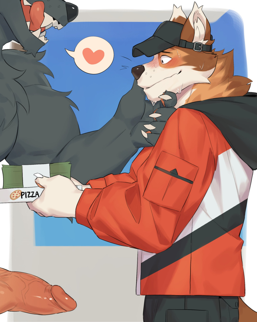 &lt;3 absurd_res anthro blush canid canine canis clothed clothing delivery_(commerce) delivery_employee domestic_dog duo erection fur gakujo genitals grey_body grey_fur hat headgear headwear hi_res jacket licking licking_lips male male/male mammal nude penis pizza_box sharp_teeth side_view teeth tongue tongue_out topwear vein veiny_penis visor_cap wolf