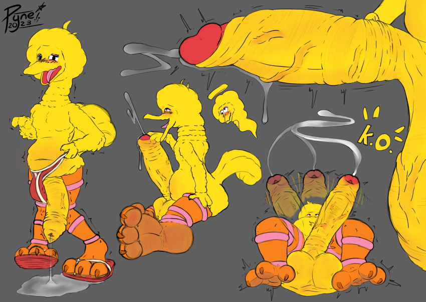 absurd_res anthro avian big_bird bird bodily_fluids clothing cum feathers feet foot_focus footwear foreskin genital_fluids genitals grey_background hi_res hyper k.o male penis plummage precum pyne_(artist) sandals simple_background sketch solo spread_toes talons toes yellow_body yellow_feathers