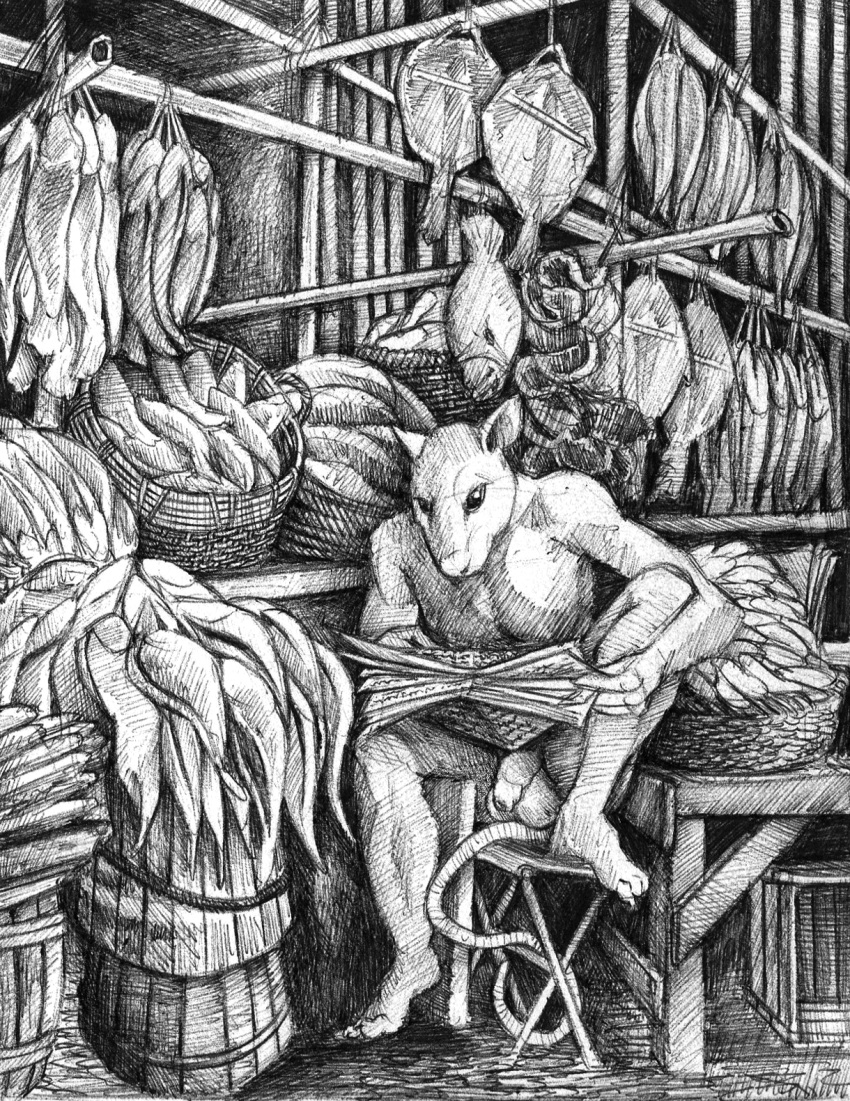 2023 anthro balls basket big_balls casual_nudity chair container foreskin furniture genitals hi_res humanoid_genitalia humanoid_penis looking_down male mammal market momamo murid murine newspaper nude penis public public_nudity rat reading rodent sketch solo