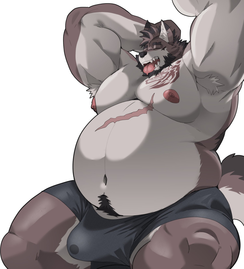 2023 anthro beard belly big_belly black_clothing black_underwear brown_body brown_fur bulge canid canine canis clothed clothing erection erection_under_clothing facial_hair fur hi_res kemono lucusold male mammal open_mouth overweight overweight_anthro overweight_male raised_arms scar solo tattoo underwear white_body white_fur wolf yawn