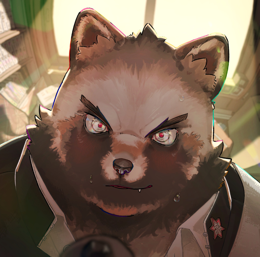 7gaku_7 anthro badge blush bodily_fluids brown_body brown_fur canid canine clothed clothing fangs fur hi_res kemono light looking_at_viewer male mammal raccoon_dog school_uniform smile solo sunlight sweat tanuki teeth topwear uniform viewed_from_above