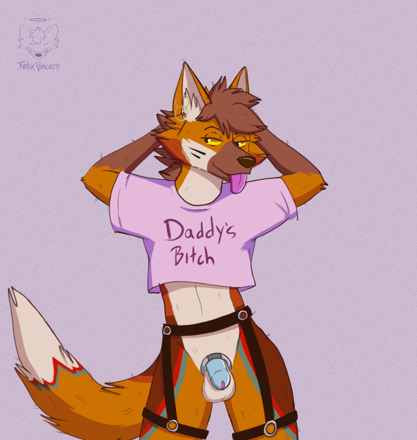 ambiguous_gender anthro balls bottomless brown_hair butt canid canine chastity_belt chastity_device clothed clothing ear_piercing felix_vincent flaccid fur genitals hair harness male mammal maned_wolf nude orange_body orange_fur penis piercing pinup pose purple_penis sexy_eyes shirt shirt_only small_penis solo tongue tongue_out topwear topwear_only yellow_eyes