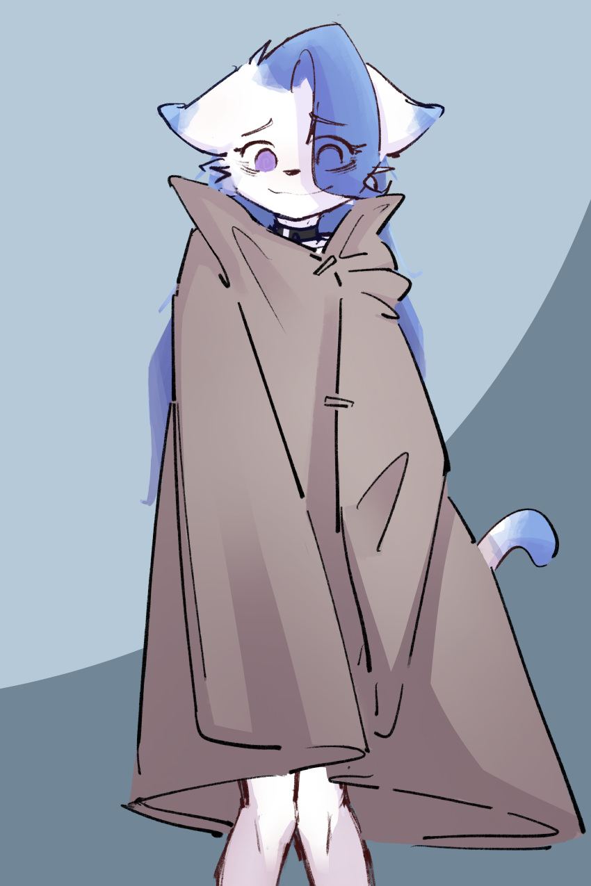 absurd_res anthro blue_hair cape clothing collar ds0ivi0 felid feline fur girly hair hi_res humanoid male mammal purple_eyes solo stiria white_body white_fur