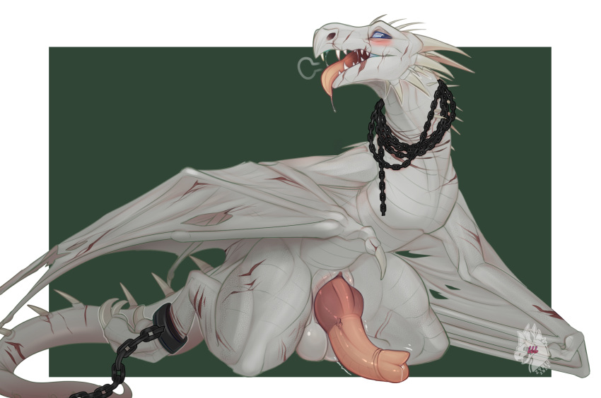 balls blush bodily_fluids chain chained dragon feral genital_fluids genitals harry_potter_(series) hi_res knot male penis precum ripped_wings scales scalie scar simple_background solo tongue tongue_out white_body wings wyvern zyria