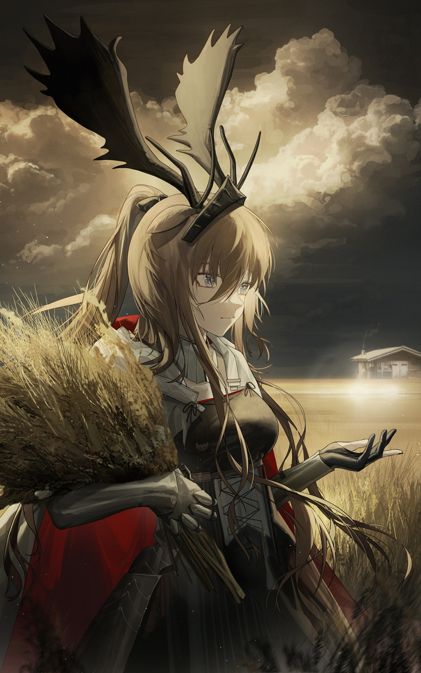 1girl animal_ears antlers arknights black_dress black_gloves black_sky blue_eyes breasts cape cloud cloudy_sky cowboy_shot deer_antlers deer_ears deer_girl dress gauntlets gloves hair_between_eyes hand_up highres holding_wheat hood hooded_cape house landscape medium_breasts open_hand outdoors partially_fingerless_gloves red_cape sky solo viviana_(arknights) wheat_field yuuki_mix