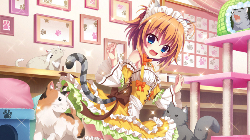 1girl ahoge animal_ears back_bow bare_shoulders bell biting biting_clothes blue_eyes blush bow brown_bow calico cat cat_ears cat_tail cat_tower corset detached_sleeves dot_nose dress fake_animal_ears fake_tail film_grain frilled_skirt frills from_side game_cg grey_cat hands_up indoors izumi_tsubasu jingle_bell layered_skirt looking_at_viewer maid maid_headdress non-web_source official_art open_mouth orange_bow orange_hair paw_print paw_print_pattern picture_frame re:stage! shikimiya_mana short_hair sidelocks skirt solo sparkle striped_tail surprised tail thighhighs white_cat white_dress yawning yellow_skirt zettai_ryouiki