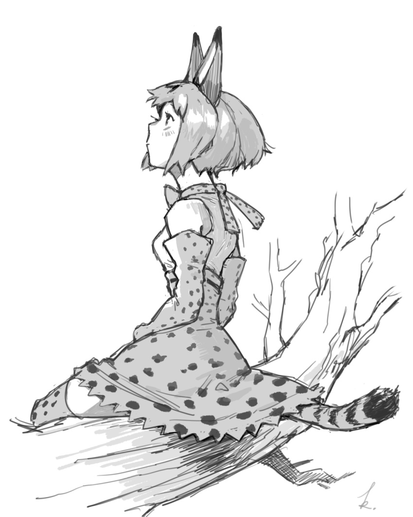 1girl animal_ears bow bowtie branch breasts cat_ears cat_girl cat_tail closed_mouth elbow_gloves full_body gloves greyscale high-waist_skirt highres kemono_friends looking_up monochrome natsu_(rodysanp) serval_(kemono_friends) serval_print short_hair simple_background sitting skirt small_breasts tail thighhighs white_background
